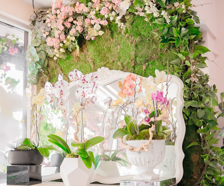 Shop This Arrangement